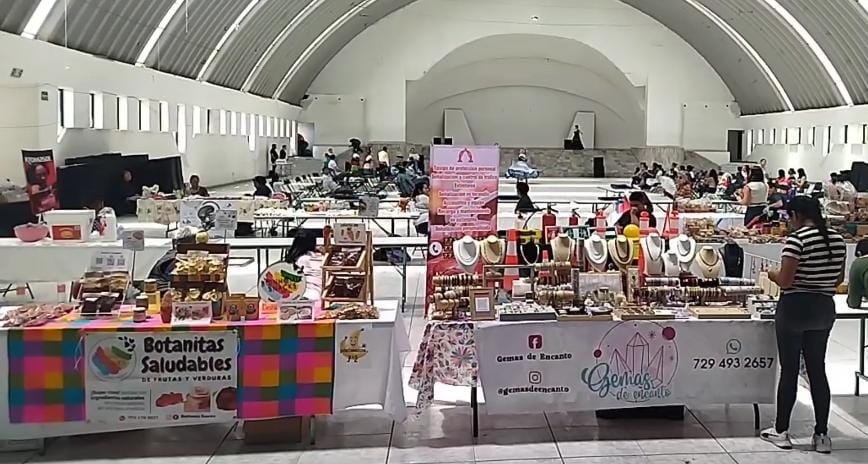 Feria del emprendimiento en Tula de Allende. (Francisco Villeda)