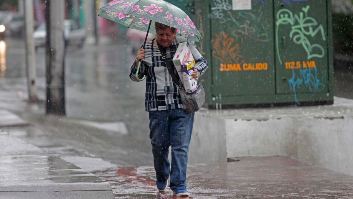 Seguirán las lluvias en Jalisco este domingo 29 de junio (Fernando Carranza)