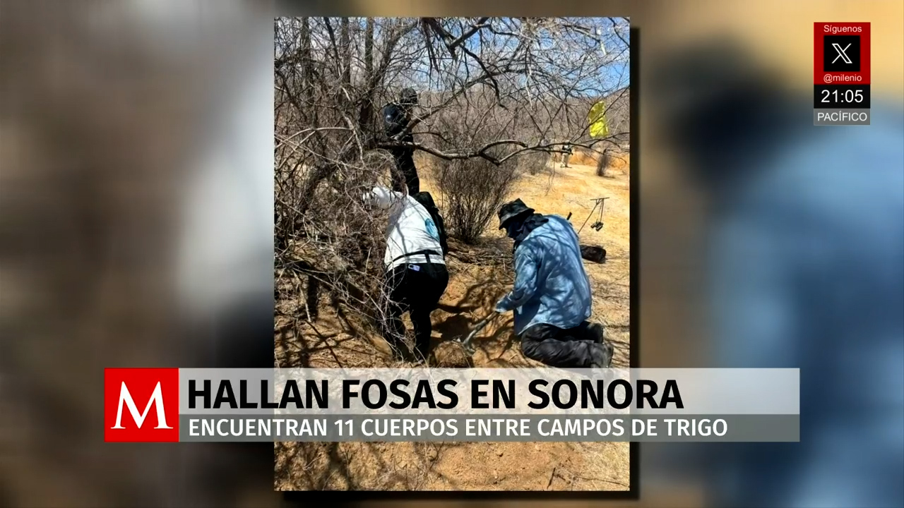 Guerreras Buscadoras revelan fosa con 11 cuerpos en Cajeme, Sonora