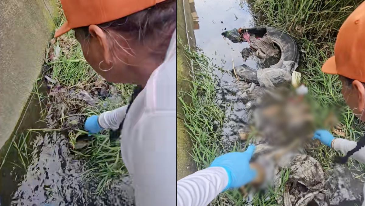 Encuentran osamenta en Jalisco. | ESPECIAL