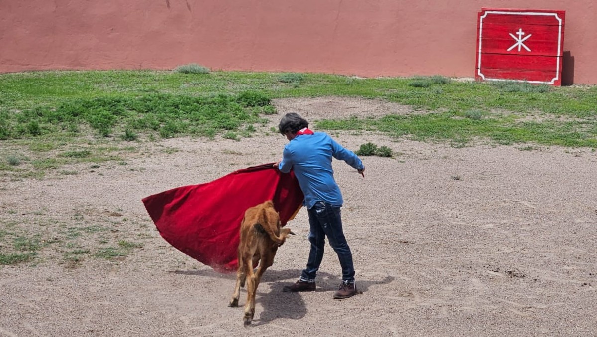 Para los ganaderos de Guanajuato, el toro bravo no solo representa una tradición cultural, sino también un motor económico clave en zonas rurales.