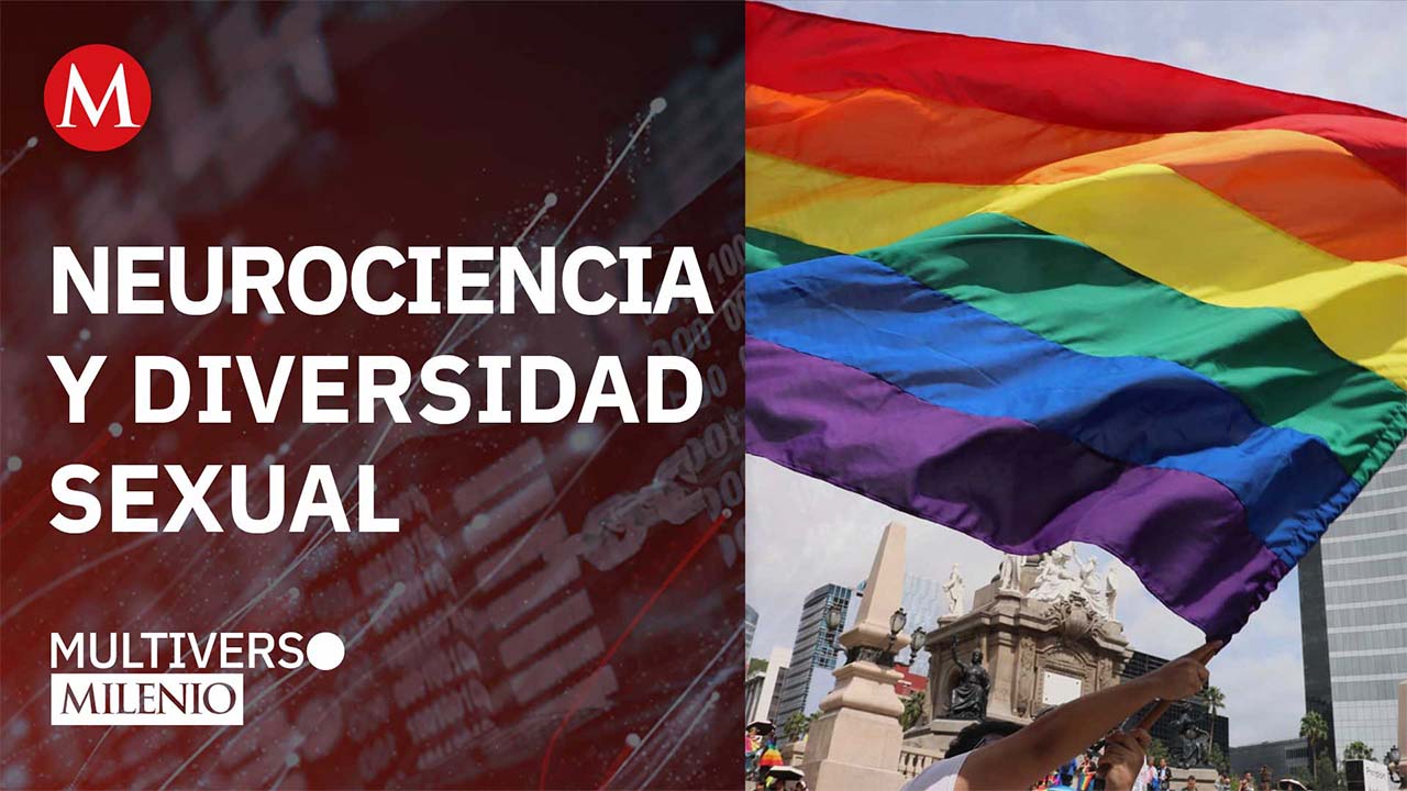 Así es como la ciencia nos ha ayudado a entender la homosexualidad | Multiverso Milenio