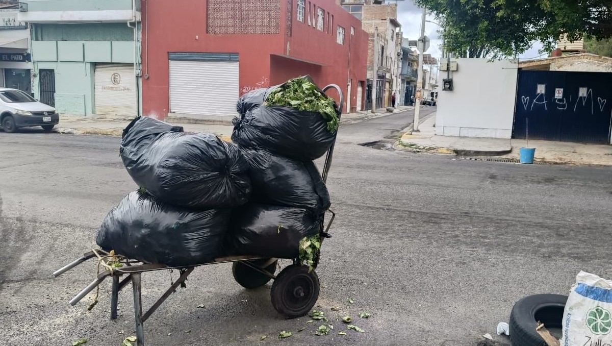 De octubre a la fecha, 644 personas han sido detenidas por tirar basura en la vía pública.(Foto: Juan Carlos Munguía y Dalia Rojas)