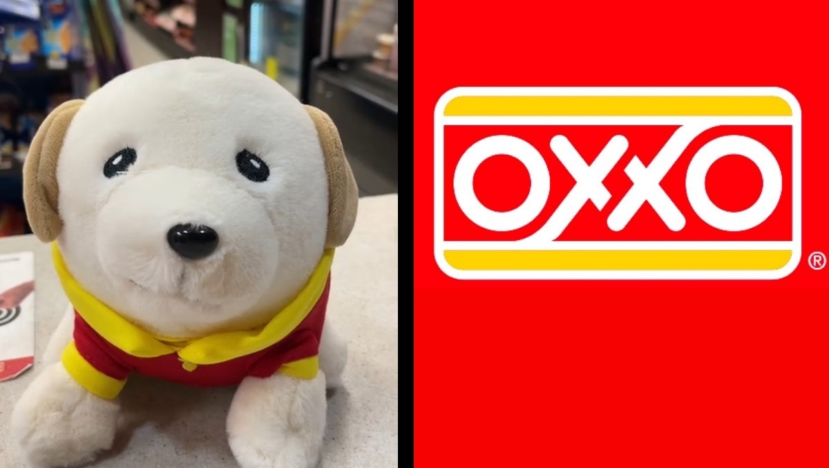 Así son los Peluchoxxos que Tiendas Oxxo puso a la venta | Especial