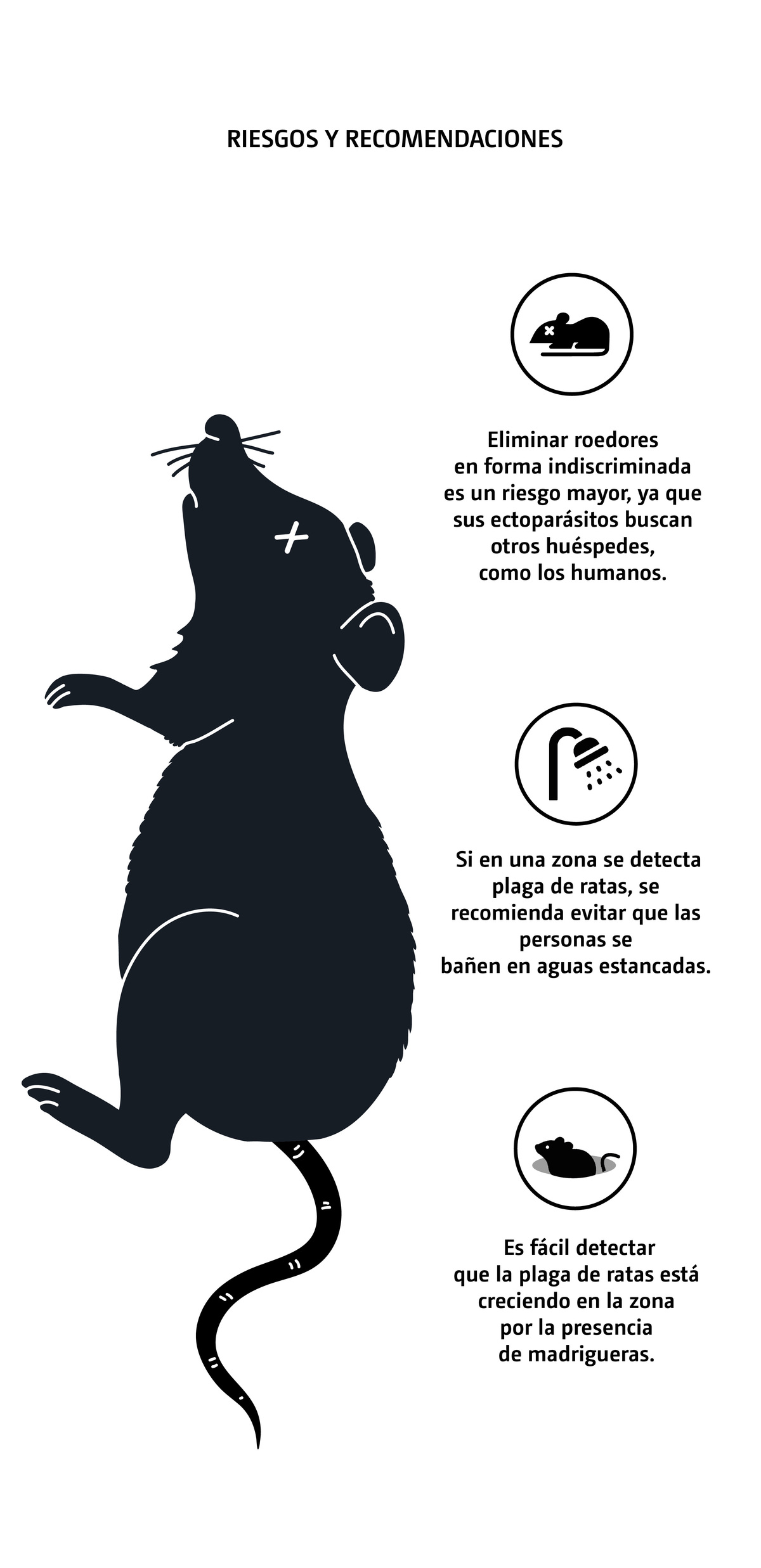 ratas