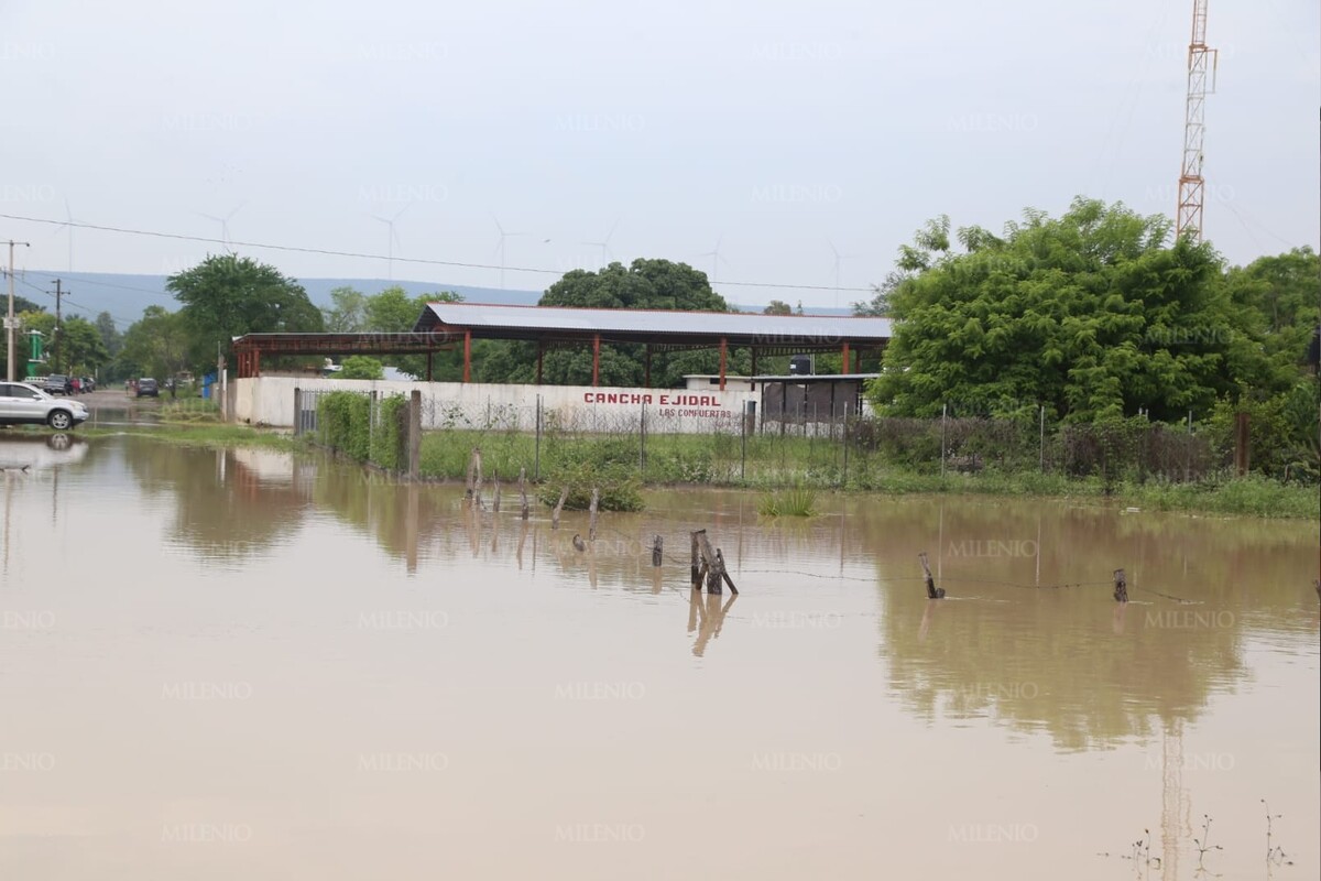 Río Guayalejo desborda en Llera: más de 300 familias afectadas por inundaciones