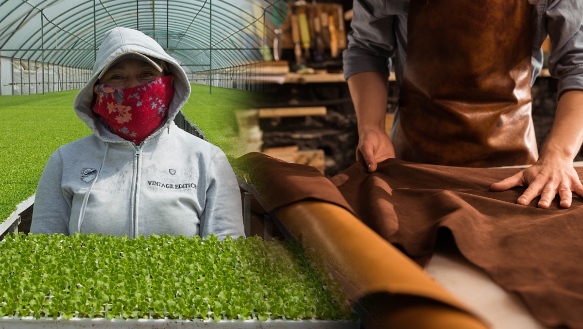 Guanajuato registra fortaleza en Mipymes pese a incertidumbre global | Especial