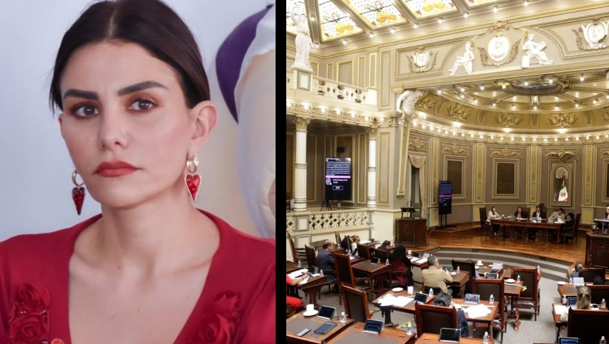 Nay Salvatori te invita a ser diputado por un día | Especial