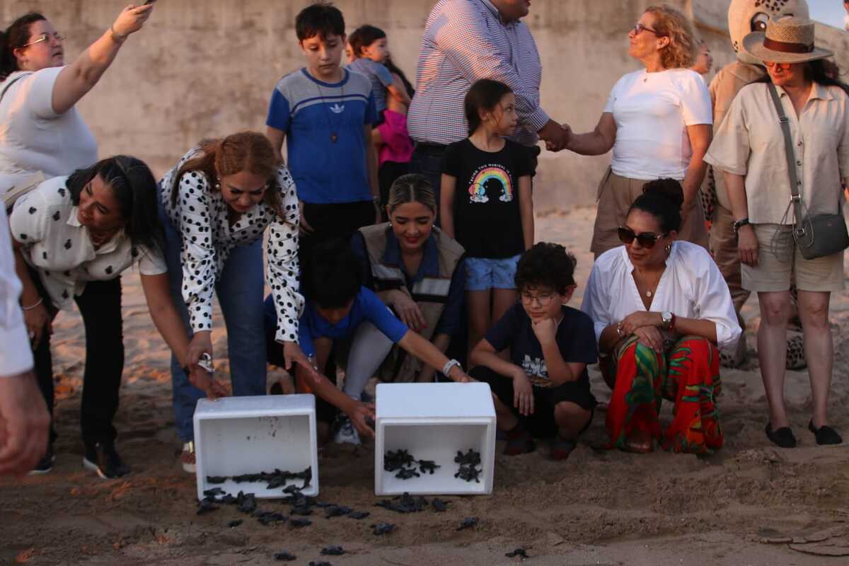 Participación ciudadana y de autoridades en liberación de tortugas | Especial