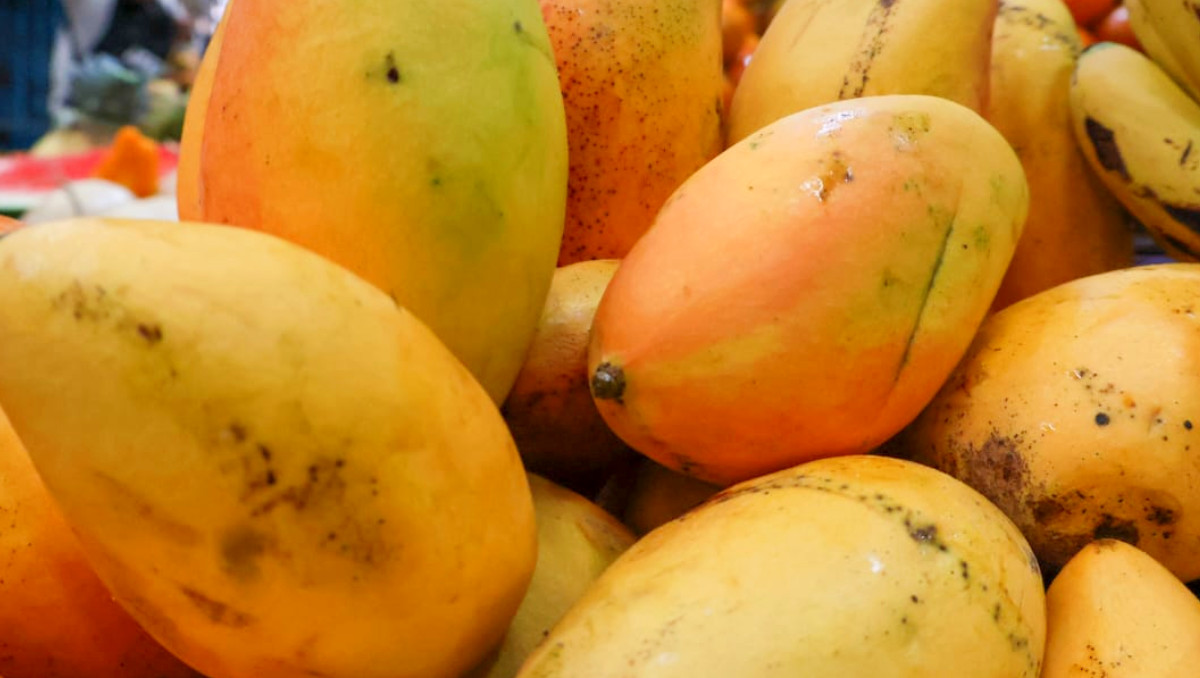 Niña muere al intentar cortar un mango en Catemaco, Veracruz | Agencia Es Imagen