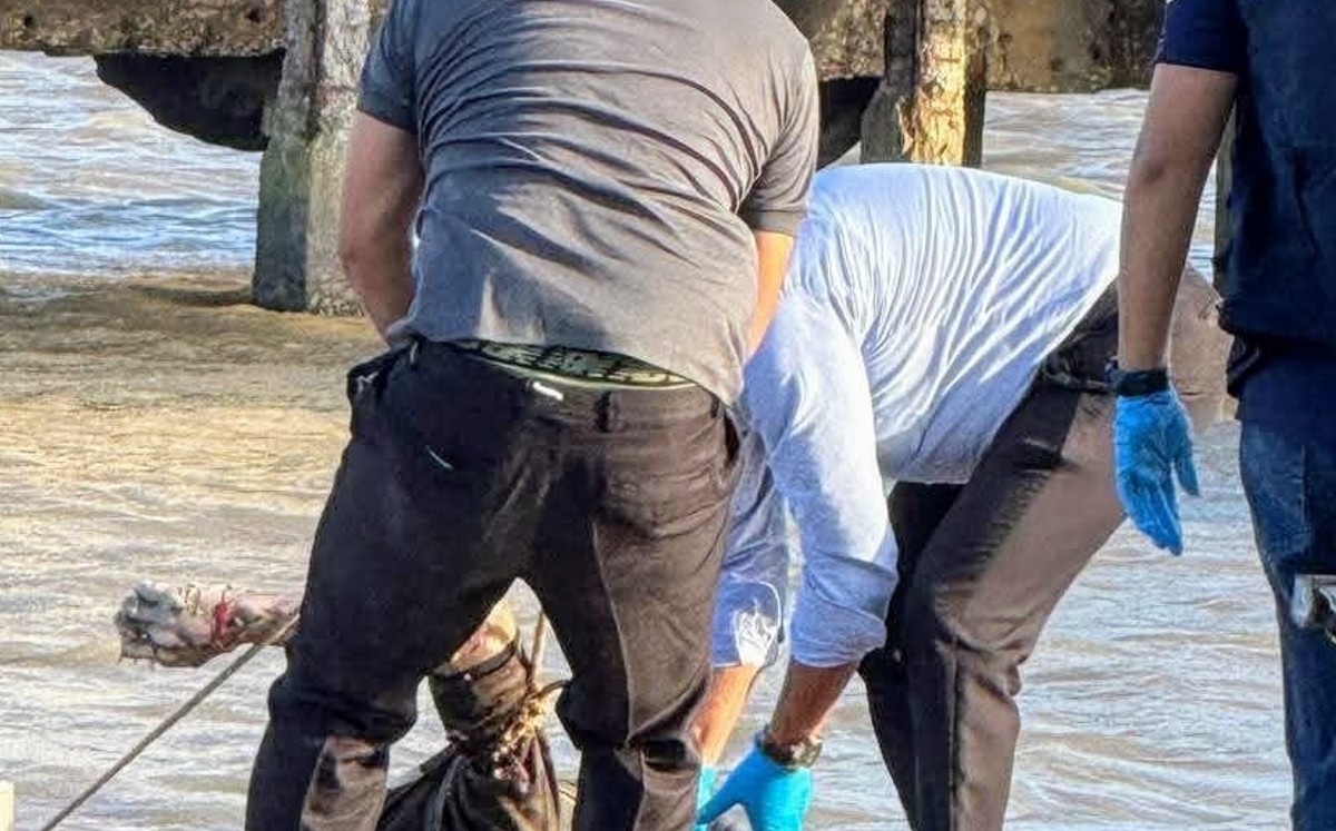 Adulto de la tercera edad vestía una bermuda y playera