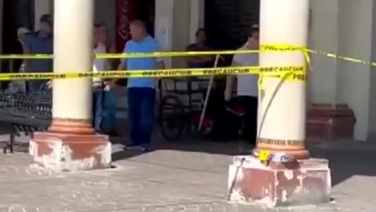 Hallan 18 pichones sin vida en Tamazula de Gordiano, Jalisco