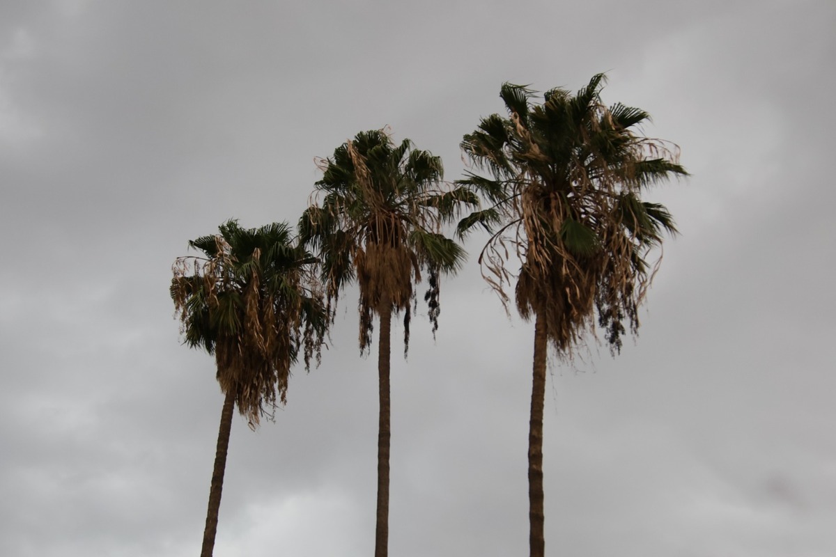 En Notivox te decimos el pronóstico en Torreón, Gómez Palacio y Lerdo para este domingo 6 de julio. (Verónica Rivera)