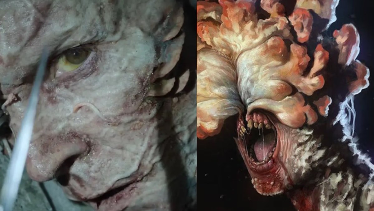 Nuevo hongo como en The Last of Us desata terror. | ESPECIAL