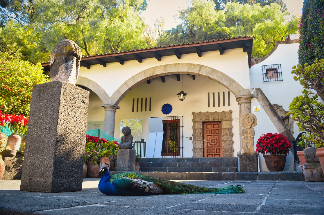 Intelectuales manifestaron preocupación por el destino del acervo, que incluye obras de Diego Rivera, Frida Kahlo y Angelina Beloff. (Shutterstock)
