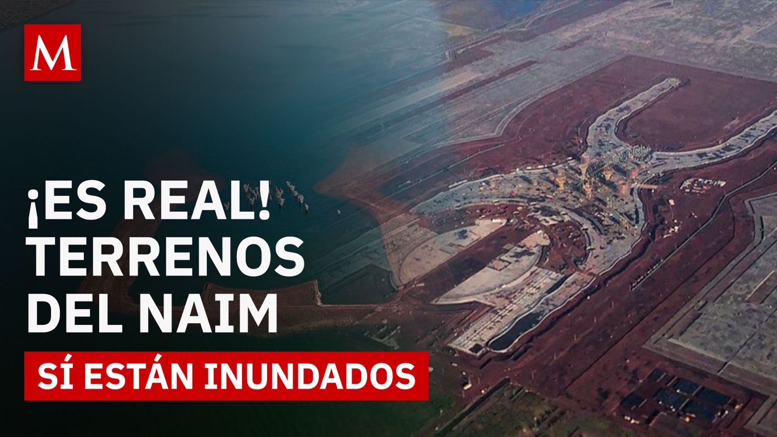 Así luce hoy el NAIM: del aeropuerto cancelado al ecosistema vivo