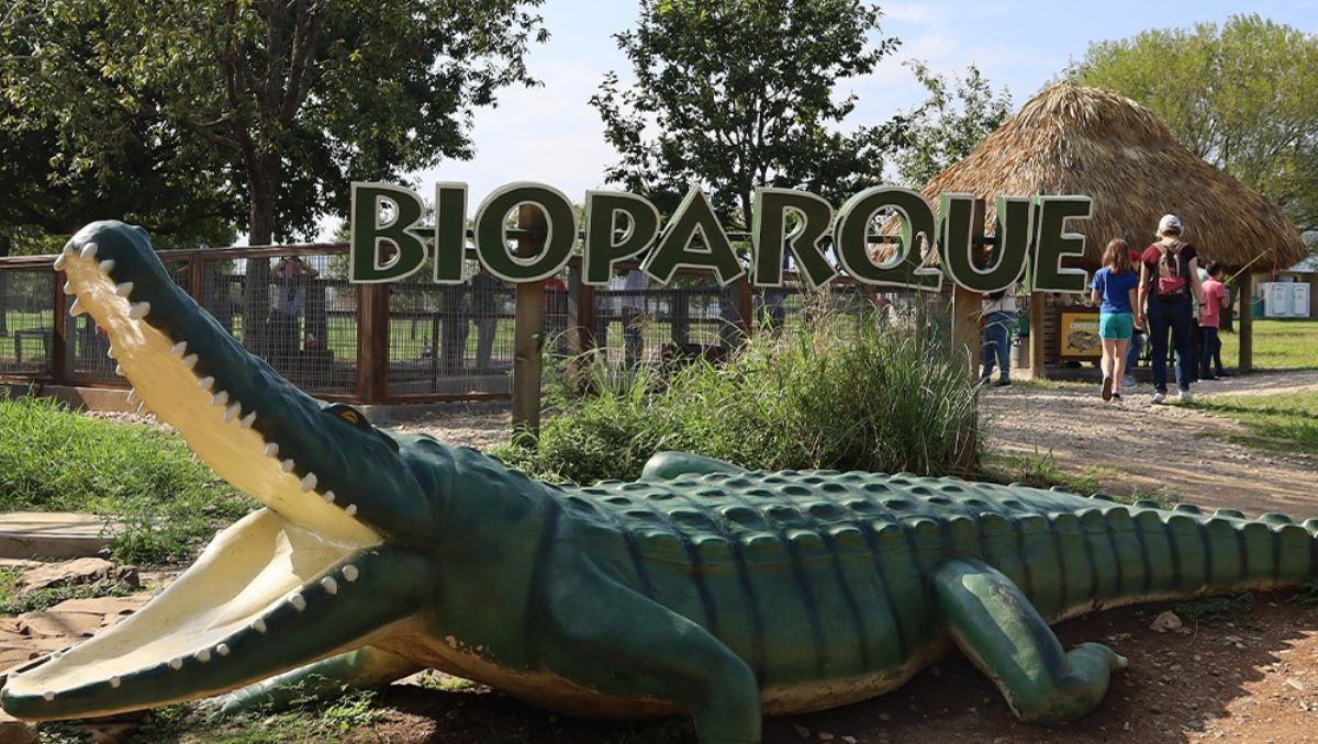 Bioparque Estrella es una opción ideal para disfrutar de una aventura salvaje durante el verano | Foto: Especial