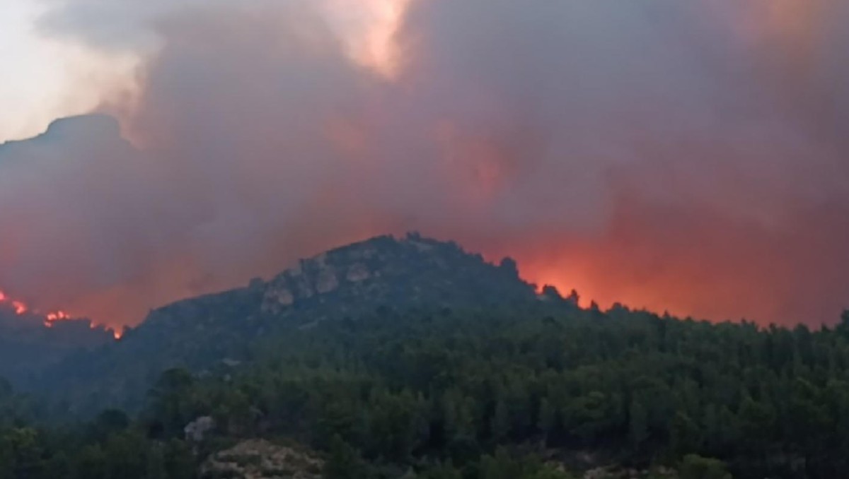 Incendio en Cataluña: 18 mil confinados y 3 mil hectáreas afectadas. | Especial