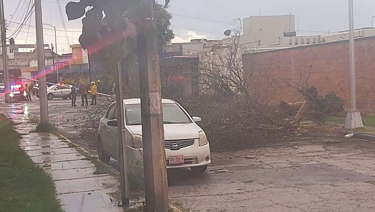 Lluvia en Puebla deja caída de árboles e inundaciones HOY-8-de-julio | Especial