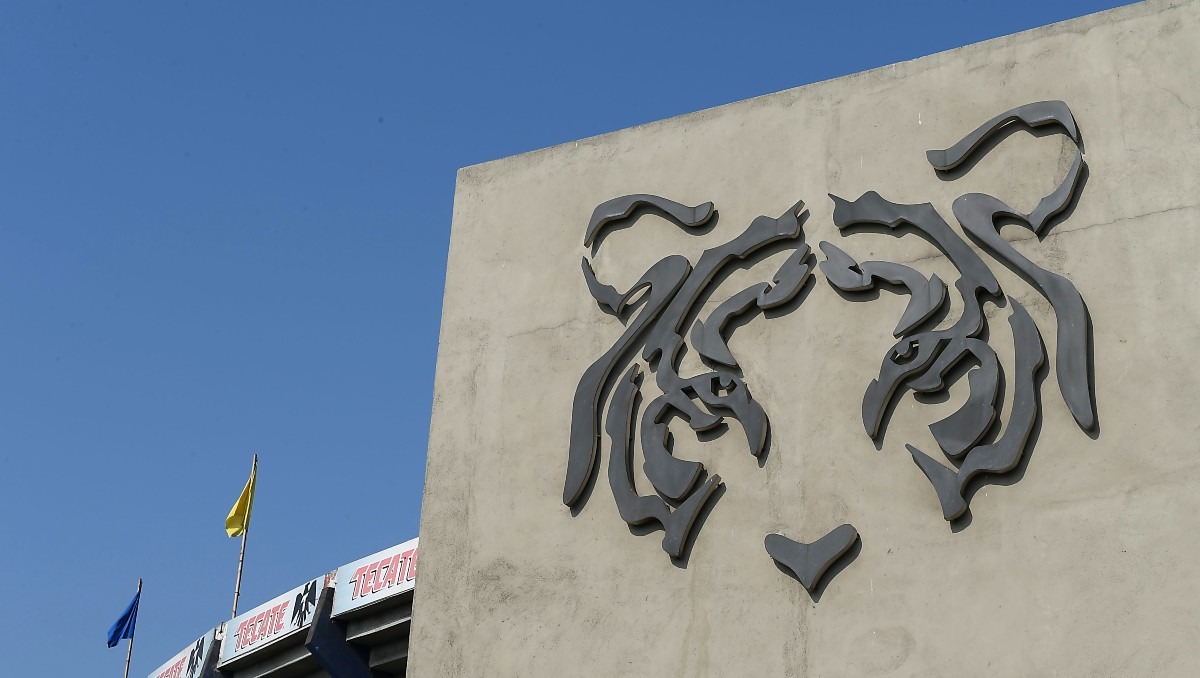 Tigres mueve sus piezas: buscan refuerzos para el Apertura 2025 (Imago7)
