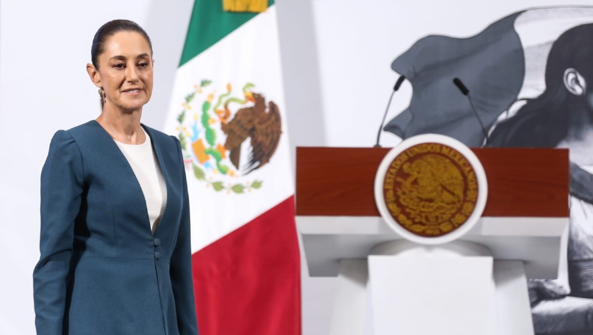 Amnistía Internacional advirtió que la labor de madres buscadoras y los colectivos es de alto riesgo | Ariana Pérez