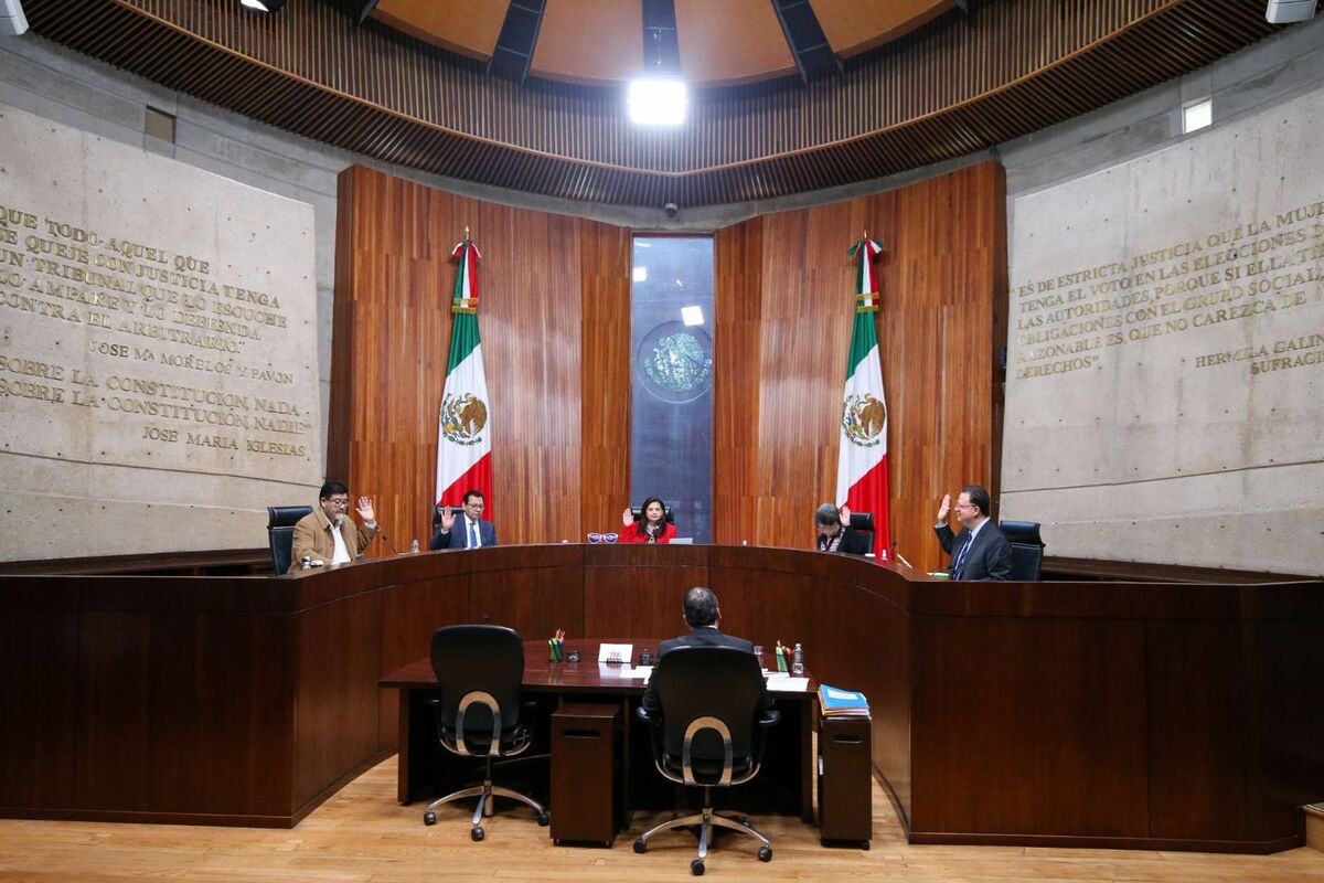 La asociación Proyecto Justicia Común presentó la queja ante el INE, la cual fue rechazada por el TEPJF. | Especial