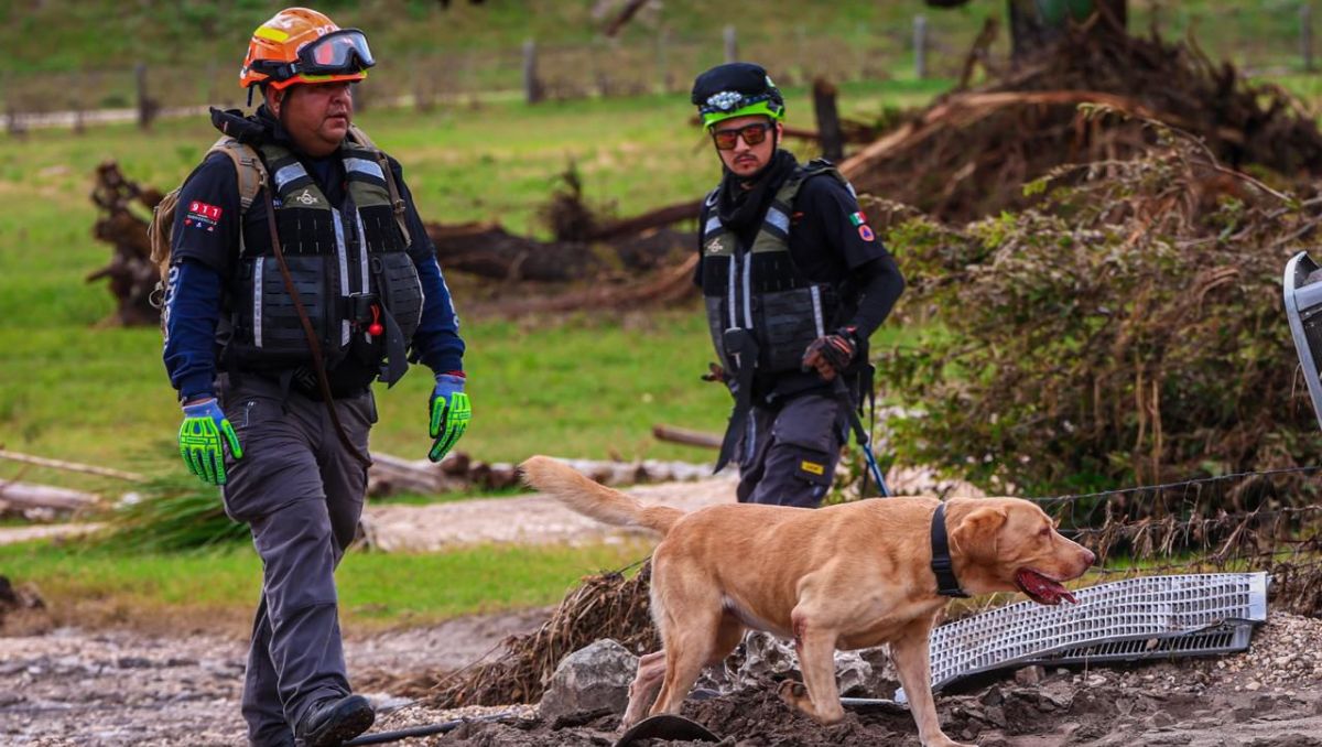 Se espera que en días próximos se sumen más elementos de Protección Civil de Nuevo León. Especial