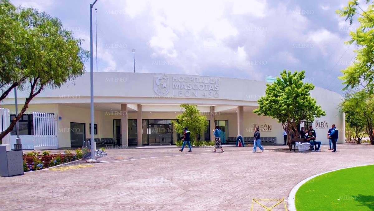 Hospital Veterinario de León | Dany Béjar.