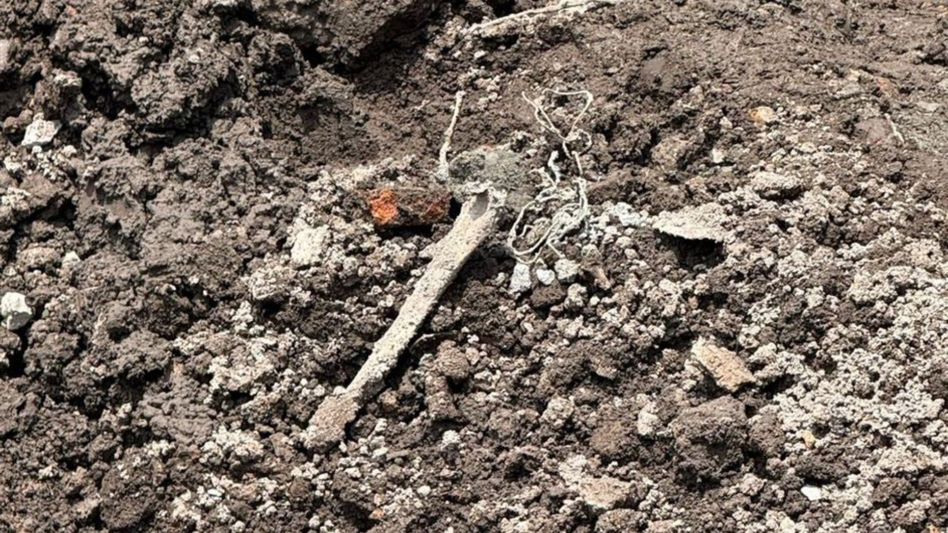 Reportan hallazgo de huesos en construcción en la colonia Guerrero