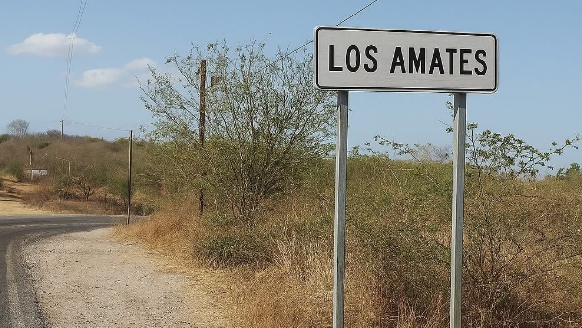 Hallan restos humanos en la carretera Izúcar-Tehuitzingo, en Puebla | Especial