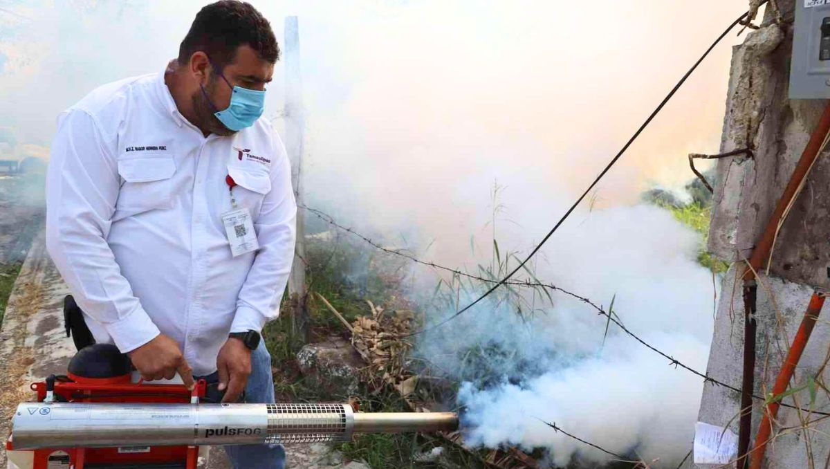 Actualmente se realiza el fumigado de zonas que se inundaron en la entidad. (Especial)