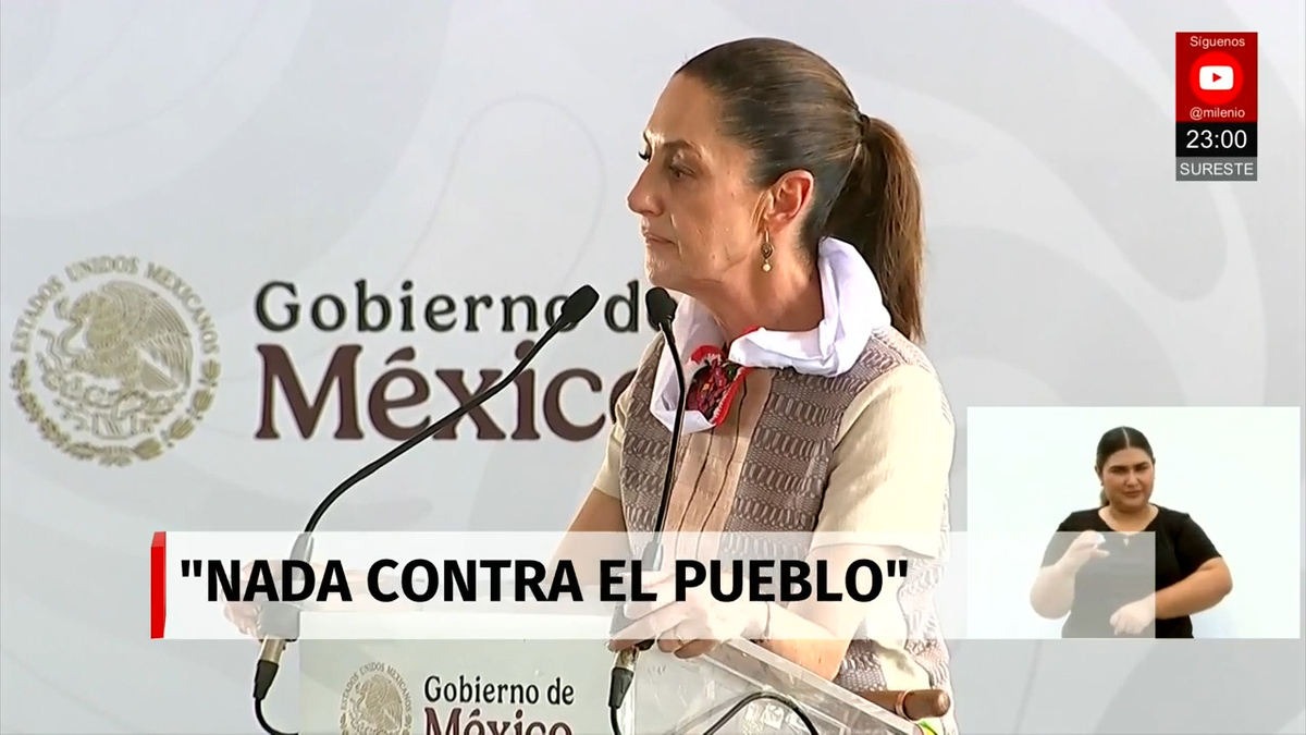 Cría de burritos y ponis para mascotas en Veracruz | Milenio Noticias, con Fernando Robles, 12 de julio de 2025