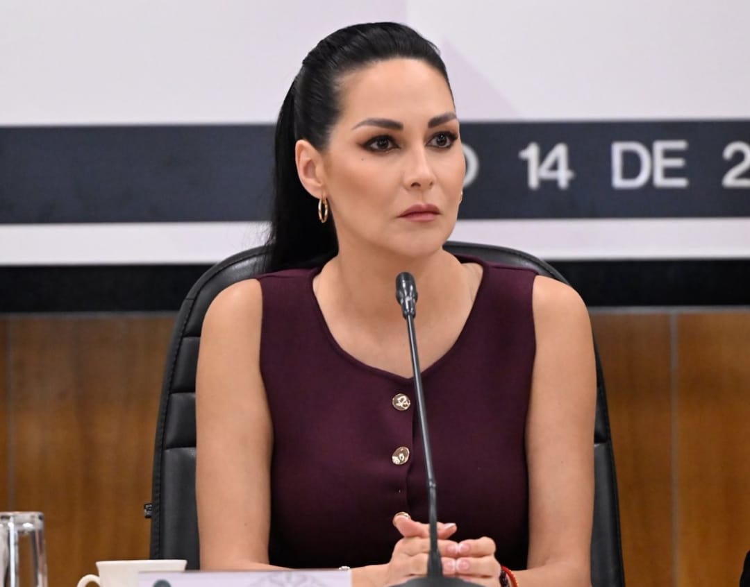 Merilyn Gómez expresó su respaldo a Sheinbaum e hizo votos por alcanzar el entendimiento con EU. | Especial