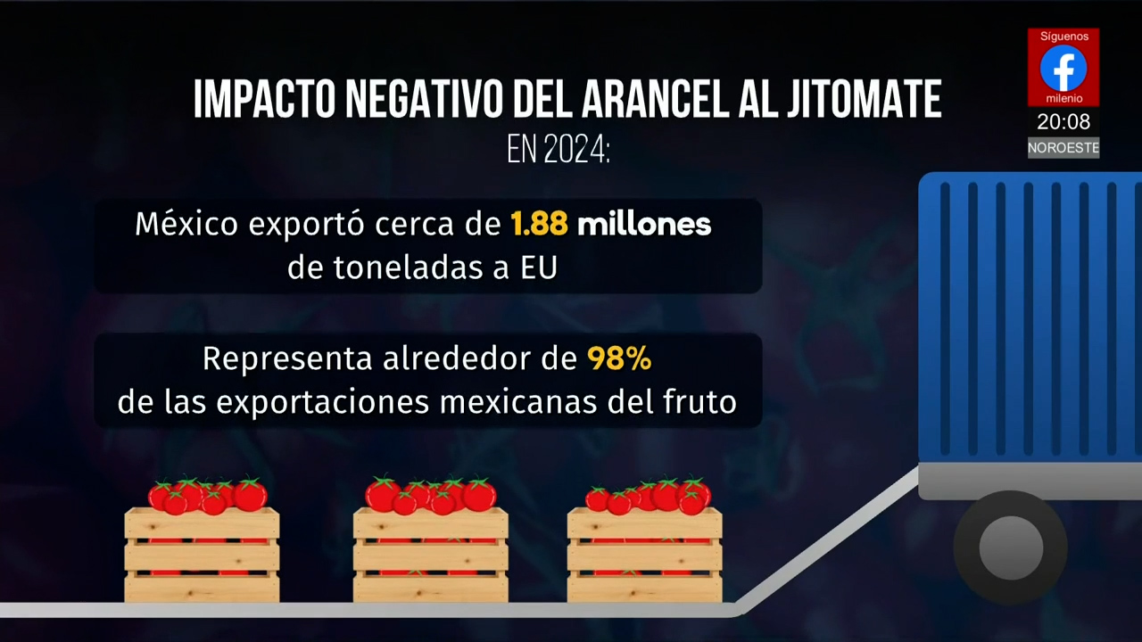 México enfrentará pérdidas de 8 mil mdd por arancel al jitomate