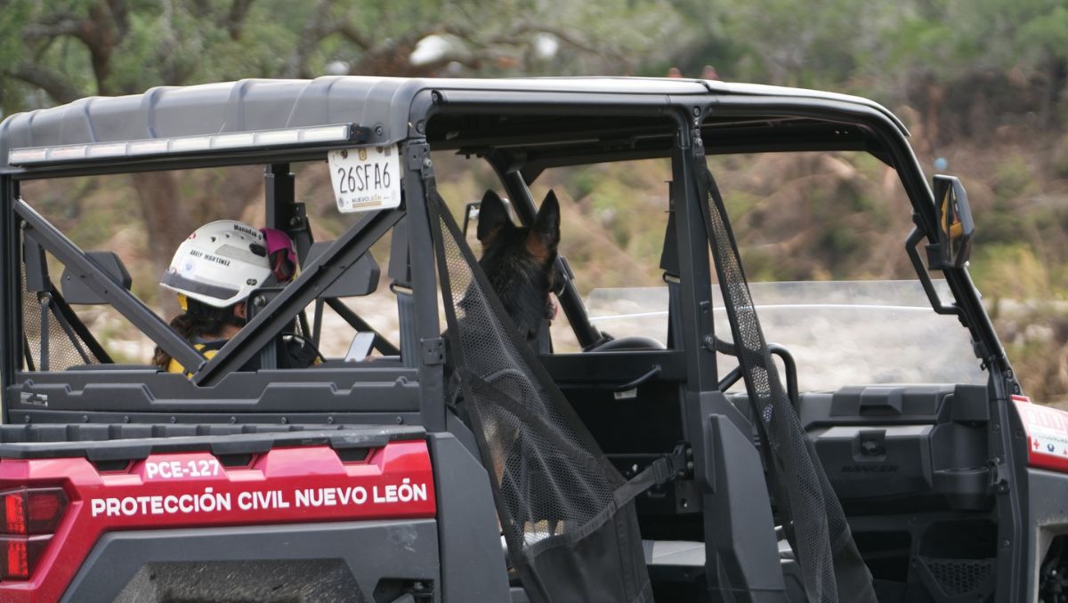 El director de PCNL mencionó que durante los trabajos realizados se hicieron hallazgos importantes. Especial