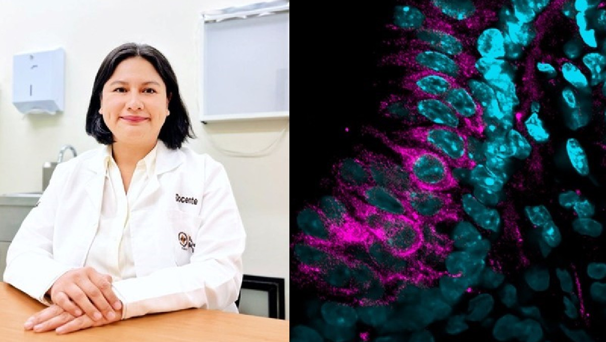Docente Anáhuac Puebla, única mexicana seleccionada en la Pinacoteca de la Ciencia 2025 | Especial
