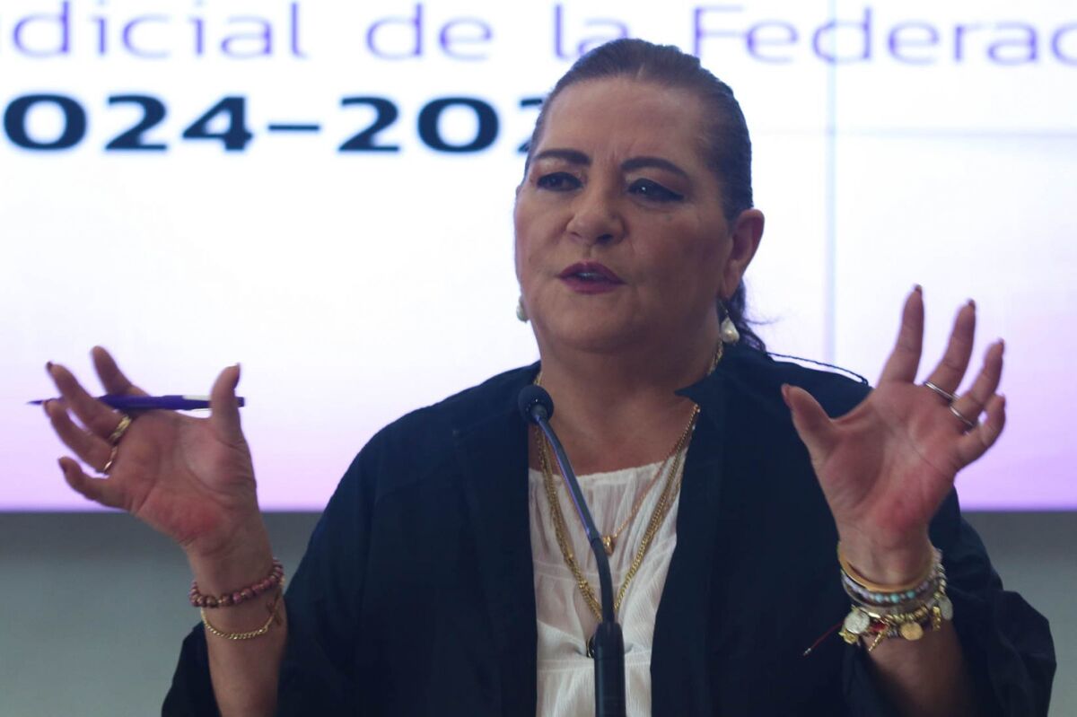 Guadalupe Taddei negó que haya solicitado renuncias a titulares de direcciones ejecutivas que tenían décadas en el INE