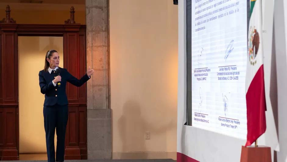 Sheinbaum analiza denunciar muerte de mexicano tras redada en Los Ángeles