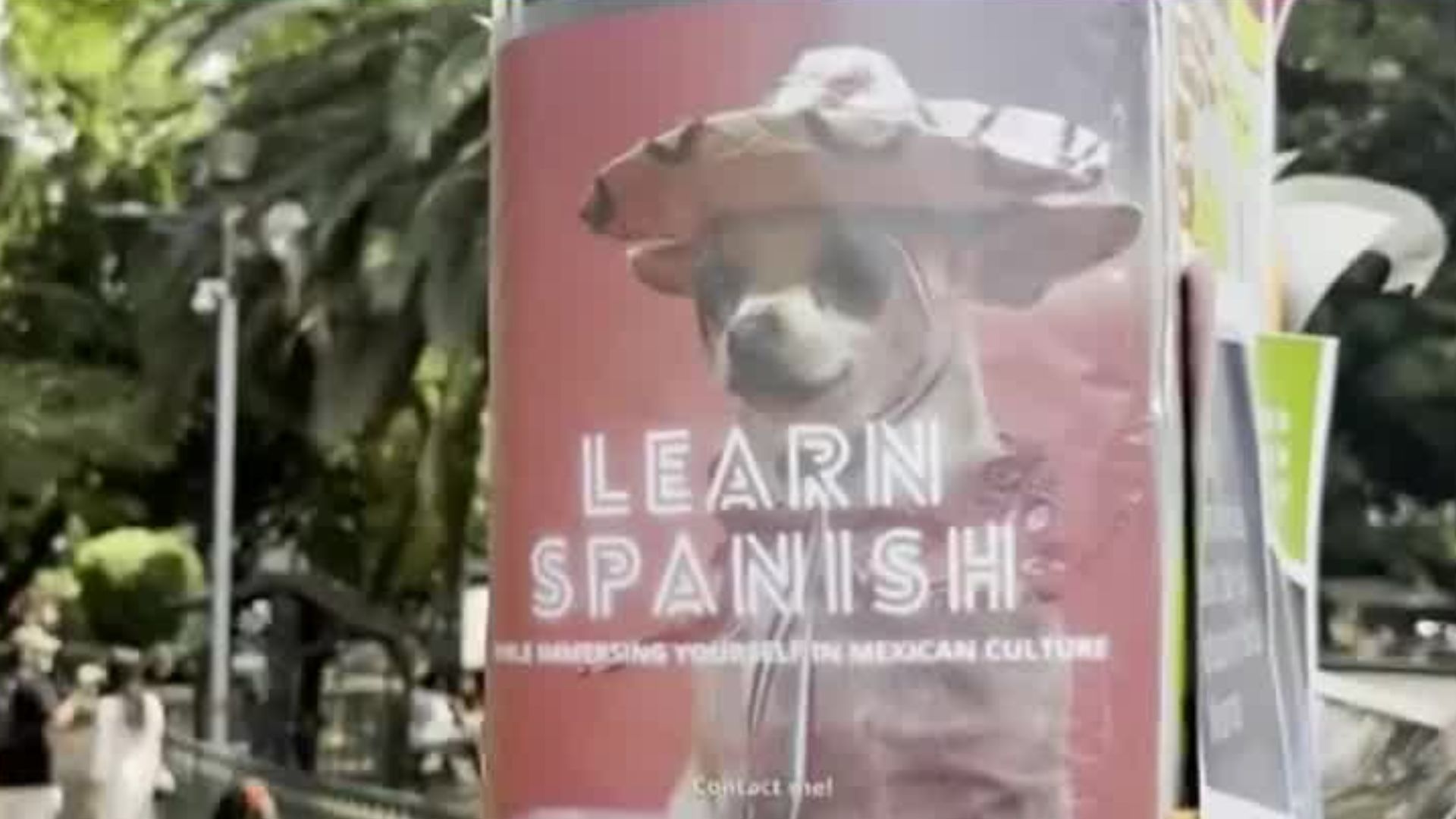 ¿En qué consisten las acciones que se tomarán contra el fenómeno de la gentrificación en la CdMx?