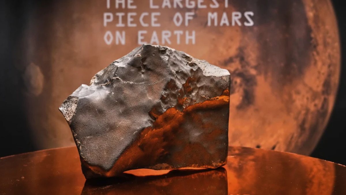 Un meteorito marciano, con un peso de 24,67 kg (54,388 lbs.), considerado el mayor fragmento de Marte en la Tierra | AP