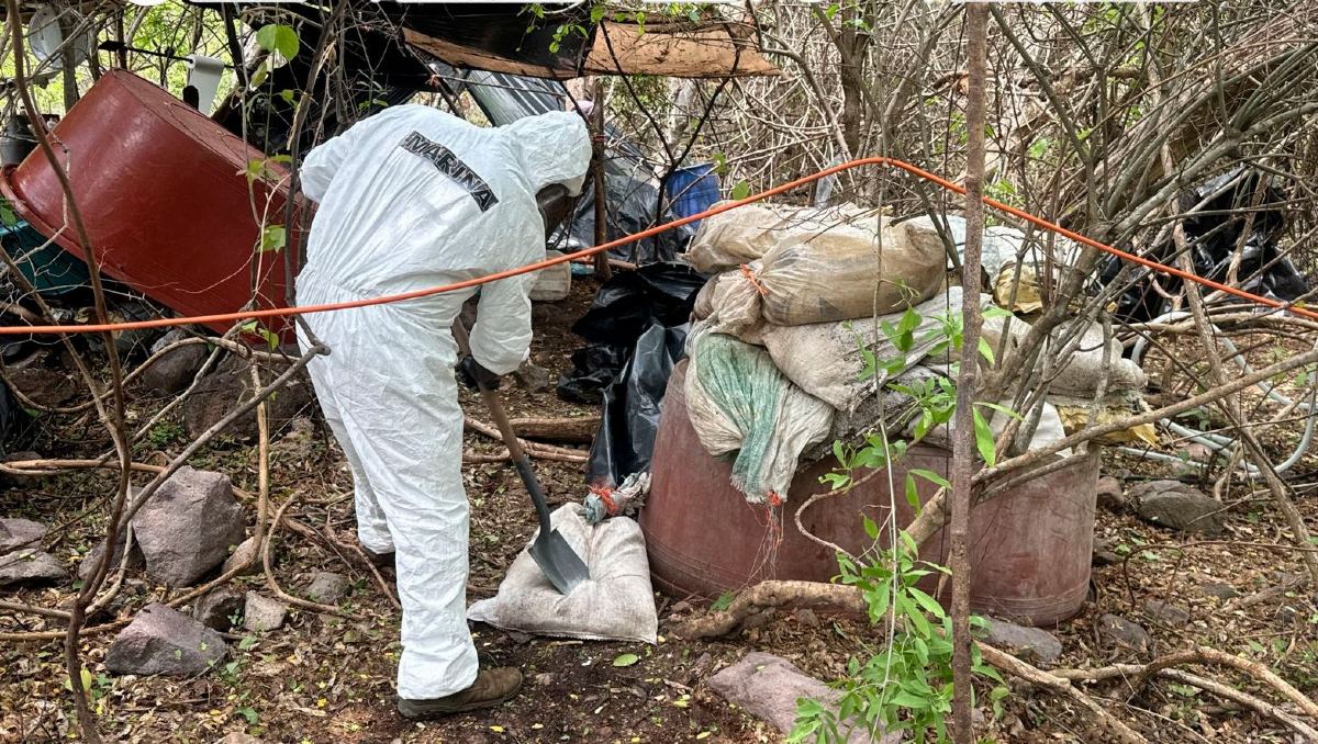Autoridades localizaron un narcolaboratorio en Sinaloa. | SSPC