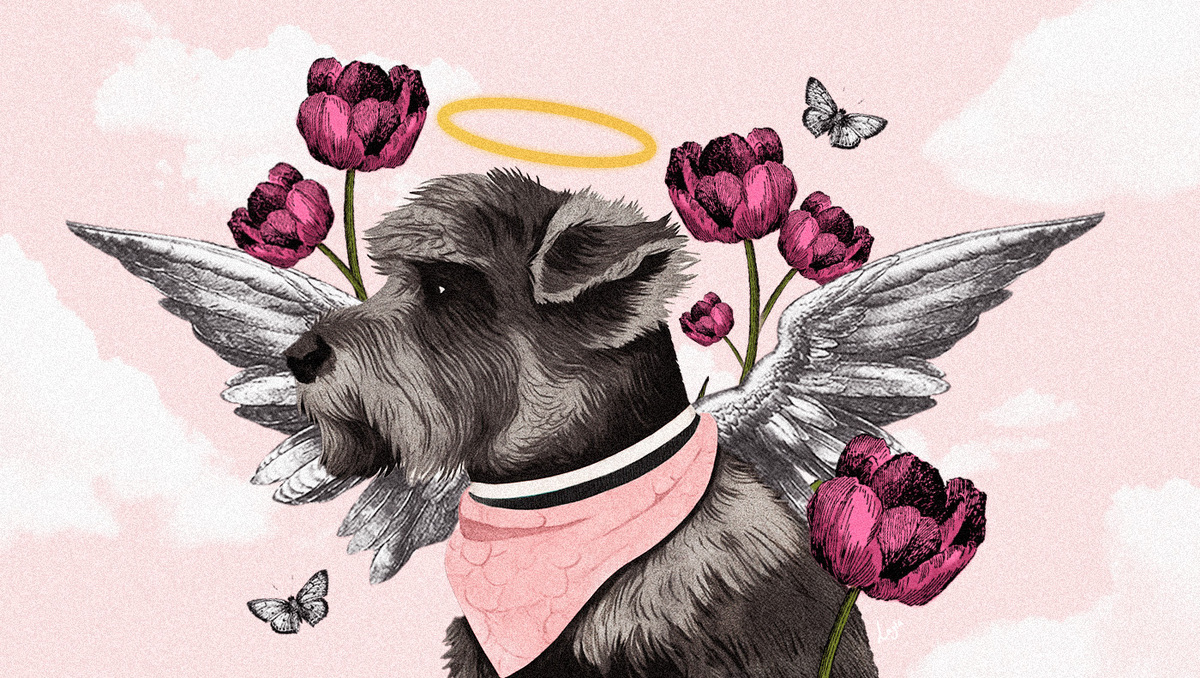 El duelo por la muerte de una mascota es equiparable al que se sufre tras la pérdida de un familiar | Especial