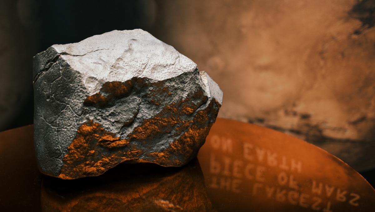 El meteorito más grande de Marte hallado en la Tierra se vende por 5,3 millones de dólares