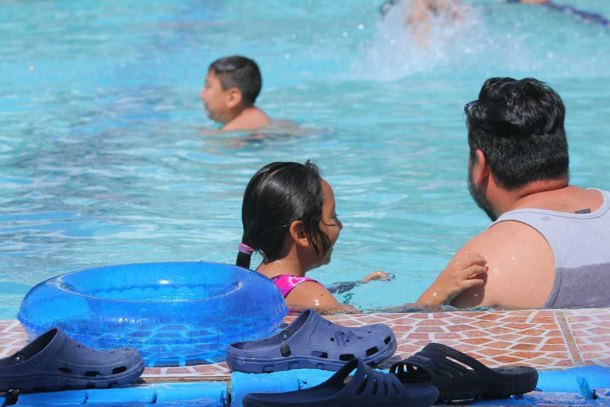 En MILENIO te compartimos los detalles sobre los espacios a los que puedes acudir este verano.| Archivo