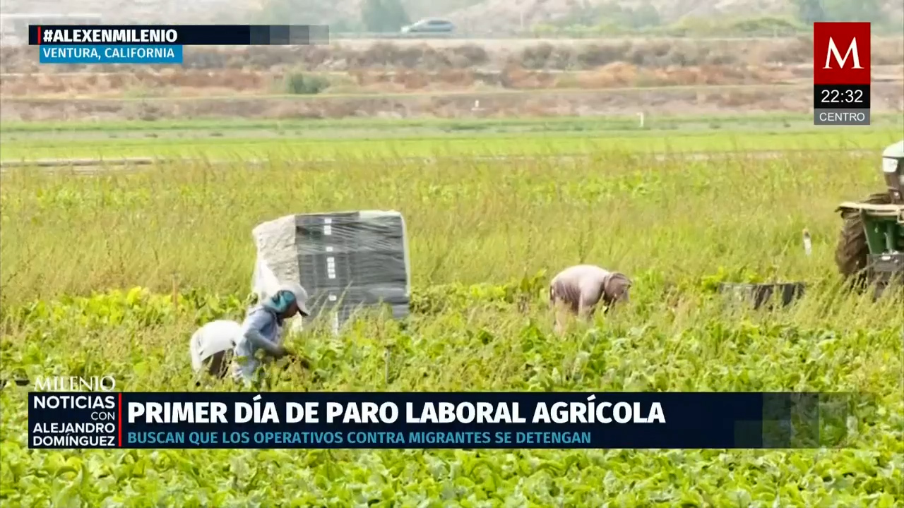 Trabajadores del campo en Ventura inician paro por redadas migratorias