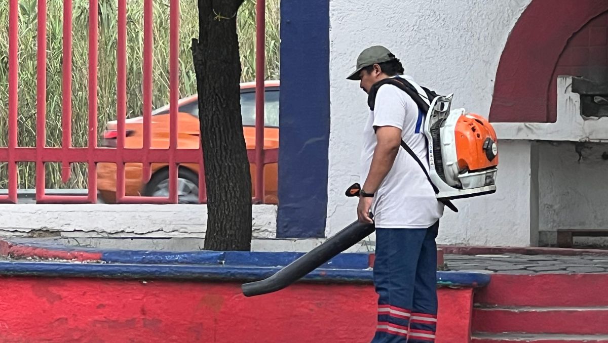 Además de la fumigación, se brinda el servicio de deshierbe en parques y plazas públicas | Foto: Mayte Villasana