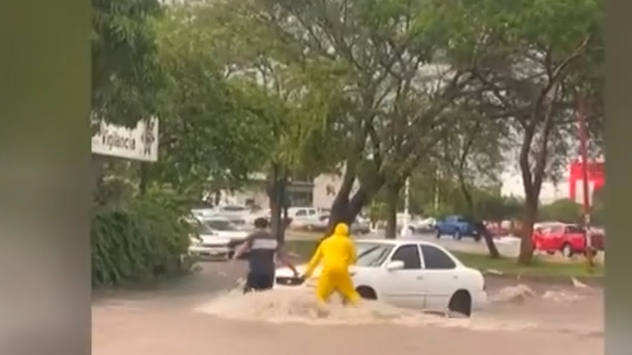 Inundaciones en Colima ocasiona la caída de árboles y cortes de luz