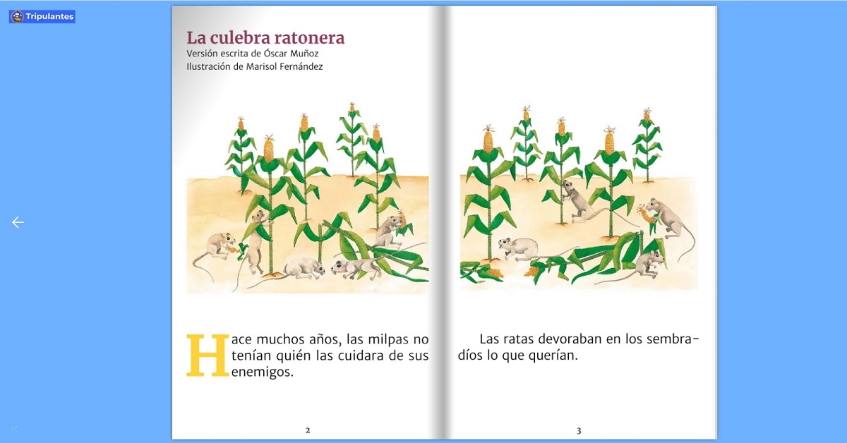 Las lecturas están organizados de acuerdo con los niveles de desarrollo lector de las niñas y niños . (cortesía)