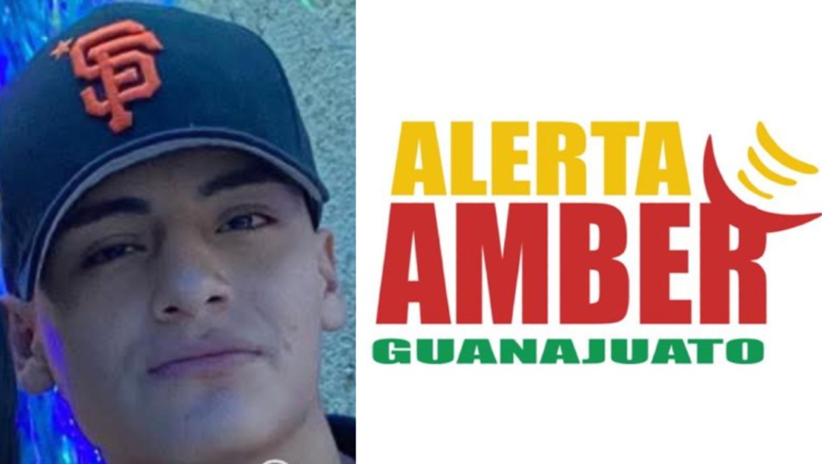 José Jhonatan Castillo | Fotografía: Redes sociales de Alerta Amber Guanajuato.