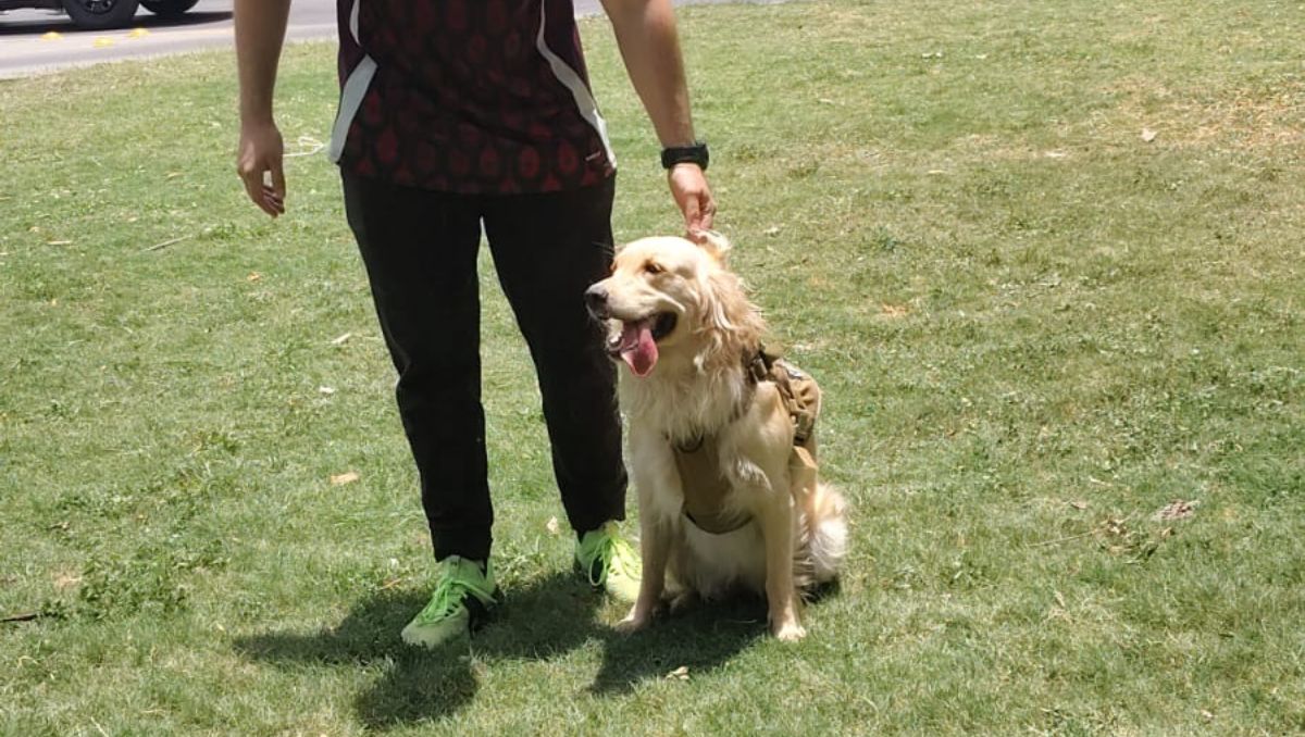 Día del Perro en San Pedro Garza García. | Especial